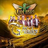 El Colibrí