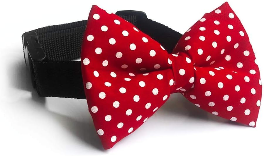 Betty Boop' Dog Bow Tie and Sturdy Adjustable Dog Collar (Red, Size - M-L)