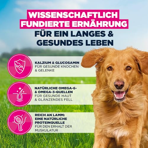 Eukanuba Hundefutter trocken mit Lamm und Reis für große Rassen, 12 kg