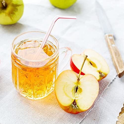 Qauzuy Garden 10 Dwarf Apple Seeds (Malus Domestica) - Miniature Gala Apple Tree - Organic Apple Fruit Tree Seeds - Fruits Survival Gear Food Seeds #TOP2