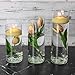 Eastland Glass Cylinder Vases 3 Pack. 7.5