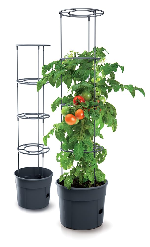 Tymar Doniczka na pomidory, donica na pomidory, balkon, z kratką dla roślin pnących, ze zbiornikiem wody (5 sztuk, ø 35 cm)
