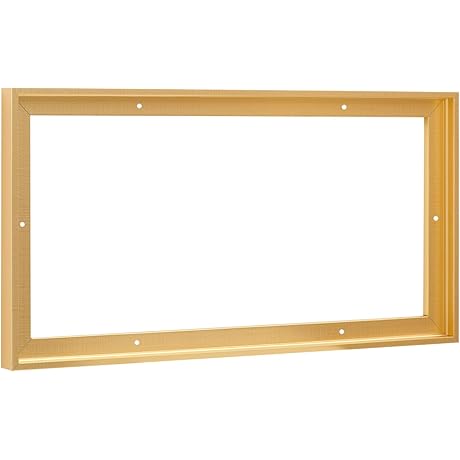 Deep Floater Canvas Frame for 24x48 inch Artwork