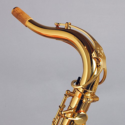 Amazon | YANAGISAWA T-WO1 テナーサックス ブラス製 ライト仕様