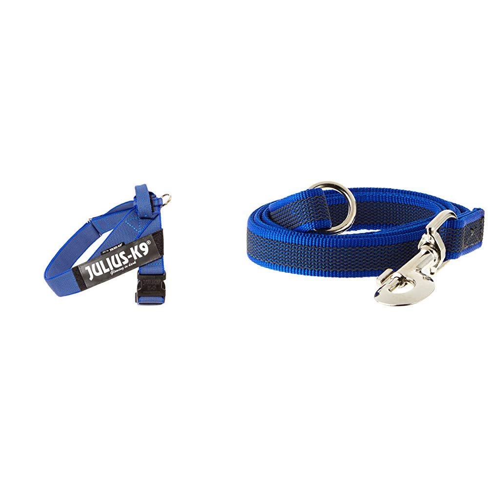 Arnés para cinturón de seguridad JULIUS-K9 y Correa para Perro, con Mango y Junta Tórica - color azul - talla: 2