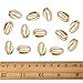 100 Pieces Gold Cowrie Shells Golden Electroplated Shell Beads Seashells for Hawaii Anklet Bracelet Home Decoration Beach Mermaid Party Submarine Party Holiday Ornament Making
