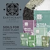 Bonsai Soil Mix – Hand-Mixed Fast-Draining Potting Blend for Healthy Bonsai Trees – Supports Strong Roots - Ideal for Indoor & Outdoor Bonsai (1L, 2L, 3L, 5L, 10L, 20L, 30L) (3 Litre) - Image 7