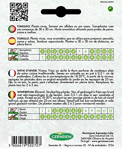 Germisem EC1115 Thymus Vulgaris Tijm Zaden 0.5 g - Afbeelding 3