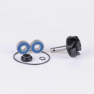KIT REVISIONE POMPA ACQUA SCOOTER SR F12 F15 RALLY AEROX NITRO MINARELLI H2O