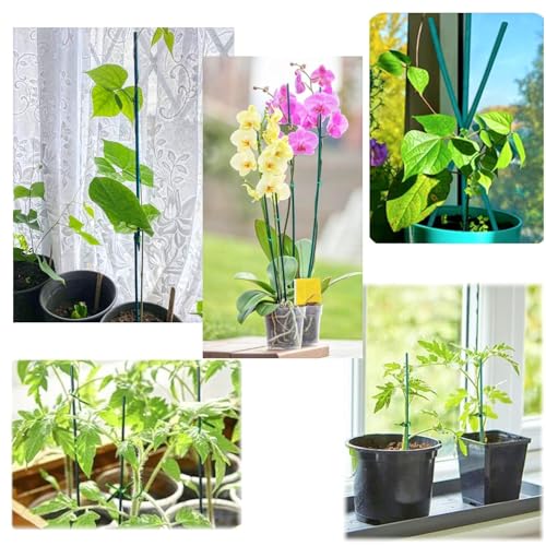 JZK 30PCS 40cm long green plant support sticks and twist ties, bamboo plant support stakes - Image 4
