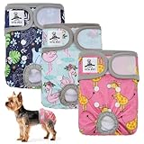 hembra chihuahua pelo largo 🌟【Cómodos y Fiables】: Los pañales para perros hembra UFO PET están hechos de poliéster transpirable y algodón ecológico para maximizar la transpirabilidad. Forrados con dos capas de rizo de algodón súper impermeable, los pañales se mantienen secos y cómodos incluso durante un uso prolongado. El doble revestimiento impermeable interior y exterior impide que se filtre el agua. Así se evitan accidentes y se mantienen limpias las alfombras, los suelos y los sofás.