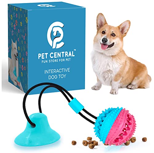 Pet Central Interactive Dog Toys – Suction Cup Dog Chew Toy for Aggressive Chewers – Treat Dispensing Squeaky Dog Toy for Stimulation and Self-Playing – Tug of War Rope with Teeth Cleaning Ball