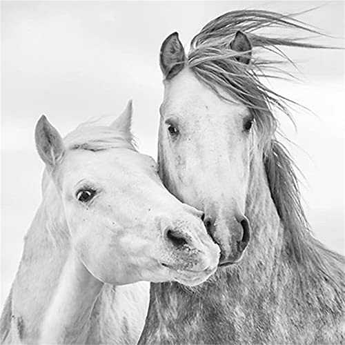 Couple Gray And White Horse Wall Murals, Modern Minimalist Animals Mural Wallpaper, Wall Stickers Easy Peel And Stick Apply To Living Room（59"W X 39.4"H） #TOP2