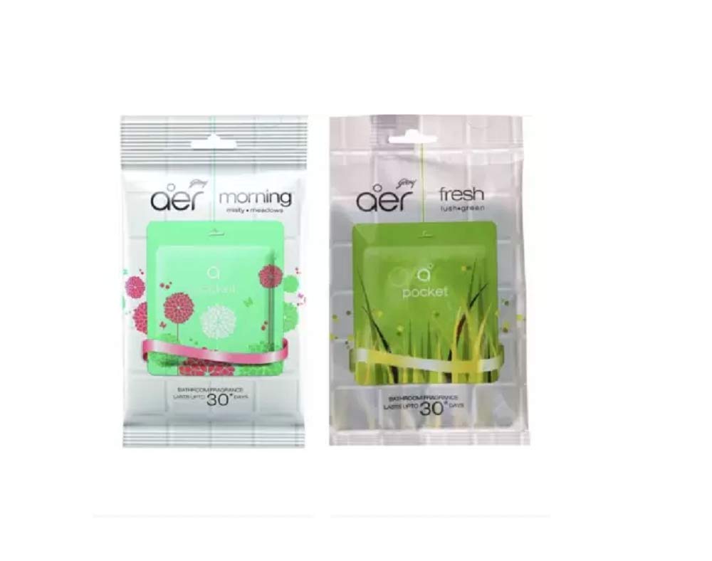 Godrej Aer Pocket Morning Misty Meadows & Fresh Lush Green Air Freshener Blocks (Pack of 2 x 10 g) (B08GQ8ZTFS) Amazon Price History, Amazon Price Tracker