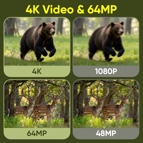 MYPIN Wildkamera 4K 64MP, Solar WLAN Jagdkamera mit Nachtsicht, 5000mAh Akku, IP66 Wasserdicht, Bewegungssensor, 64GB Speicherkarte