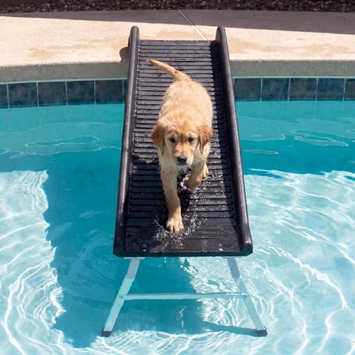 Bulyoou 61 Inch Dog Pool Ramp Foldable Non-Slip Dog Ramp for Pool with 20 Inch Support Legs for 200lbs Capacity Fits Above Ground or Inground Pools