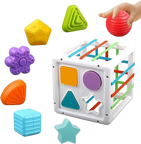 Brand Conquer Sensory Shape Sorter Blocks Toy-Activity Cube Bins-Montessori Educational Learning Fine Motor Skills Toys For Babies Toddlers 6 12 18 Months (Activity Blocks) – Multicolor