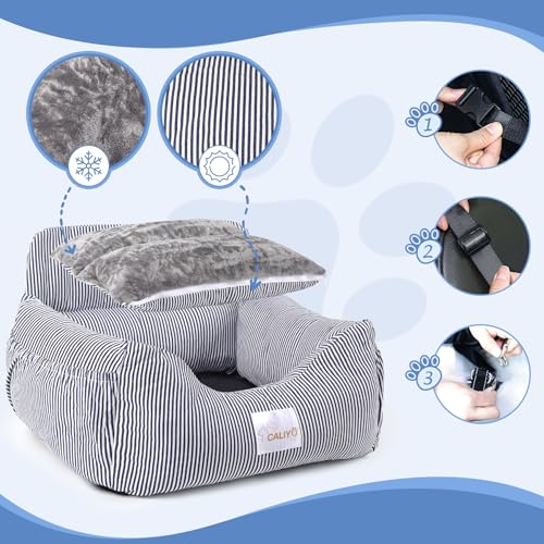 CALIYO Hundeautositz mit Stabiler Basis & Sicherheitsgurt | Hundesitz Auto für Kleine bis 10 kg | Memory Foam-Sitzauflage | Wasserdichter, Abwaschbarer Hundekorb mit Aufbewahrungstasche (Blau/Weiß)