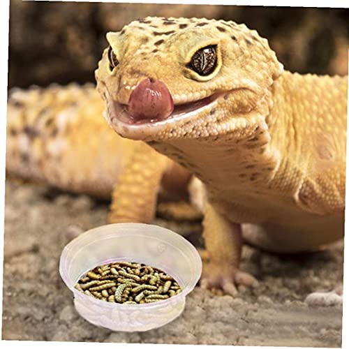 fregthf 100 Reptiel Transparante Ronde Dozenreptiel Feeder Kommen Gecko Transparante Feeder Kommen Reptielen Voeding… - Afbeelding 4