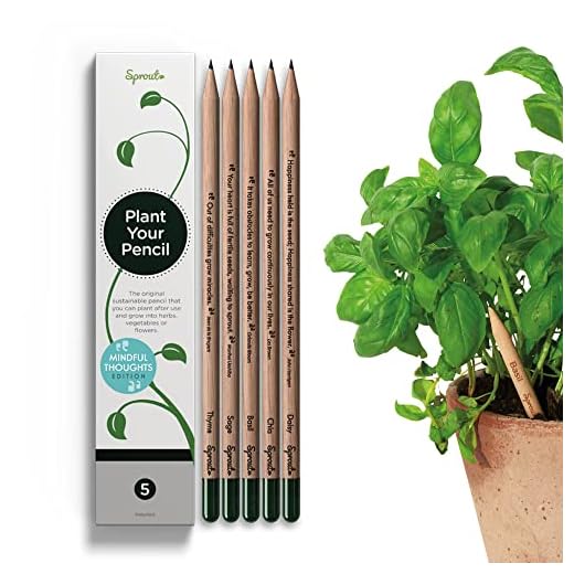 Sprout lápices plantables - Mindful edition | Pack de 5 lápices de grafito de madera natural | producto ecológico sin plomo