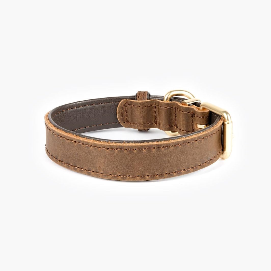 EzyDog Oxford Leather Dog Collar – Full Grain Leather, Padded Lining, Durable Brushed Metal Hardware – Comfortable Collar for Dogs, Brown, Size Large