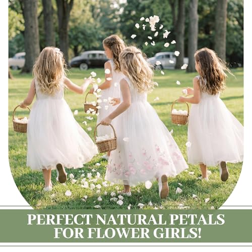 Pétalos naturales de rosa blanca seca 150g miniatura 6
