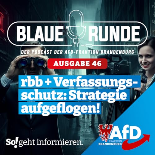 rbb + Verfassungsschutz: Strategie aufgeflogen! | Die Blaue Runde, Ausgabe 46/25 vom 13. August 2025 cover art