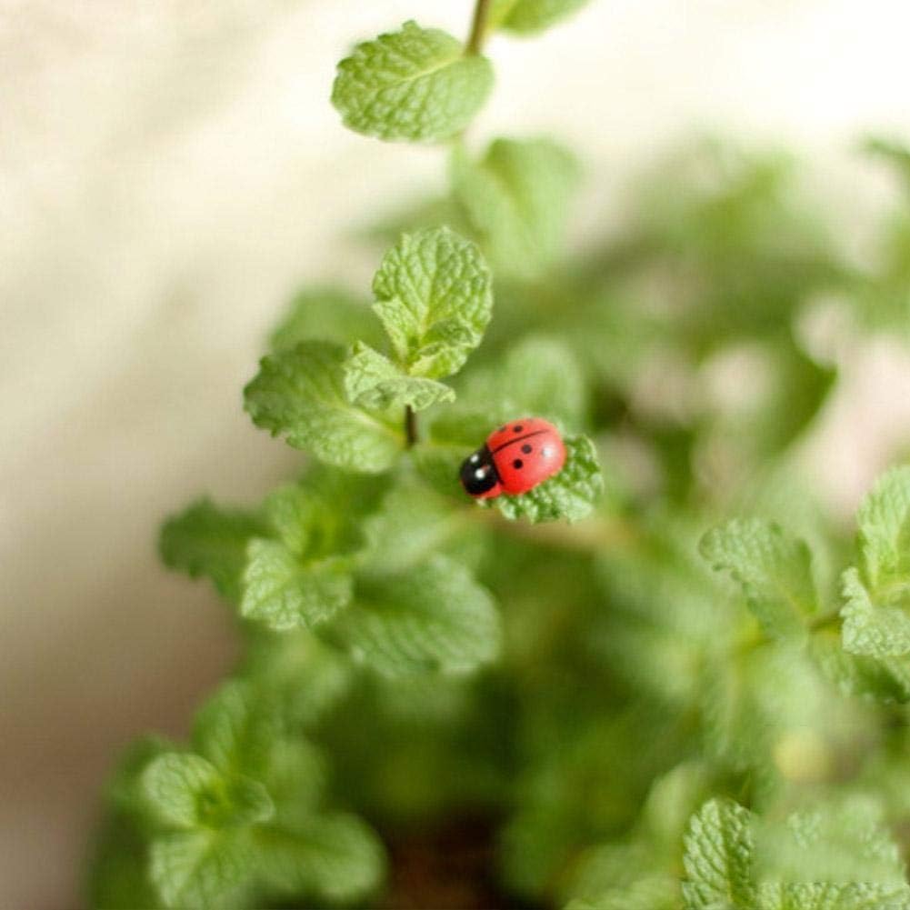 Amosfun 300pcs Wooden Ladybug Miniatures - Red Ladybird Garden Decor, Craft & Toy Ornaments