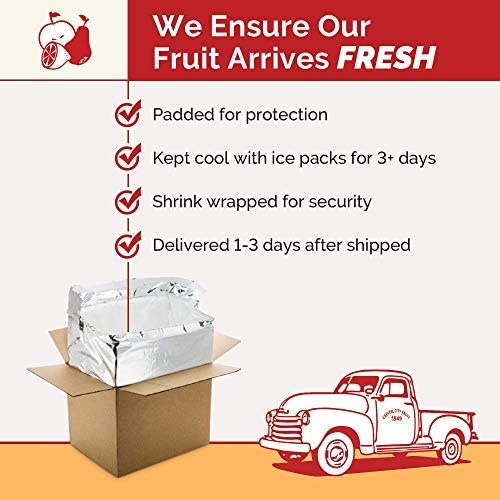 Fresh Gala Apples (16 Count) - Healthy Family Fruit Snack Pack - Fruit Produce For Delivery - Gala Apple Gift Pack #TOP3