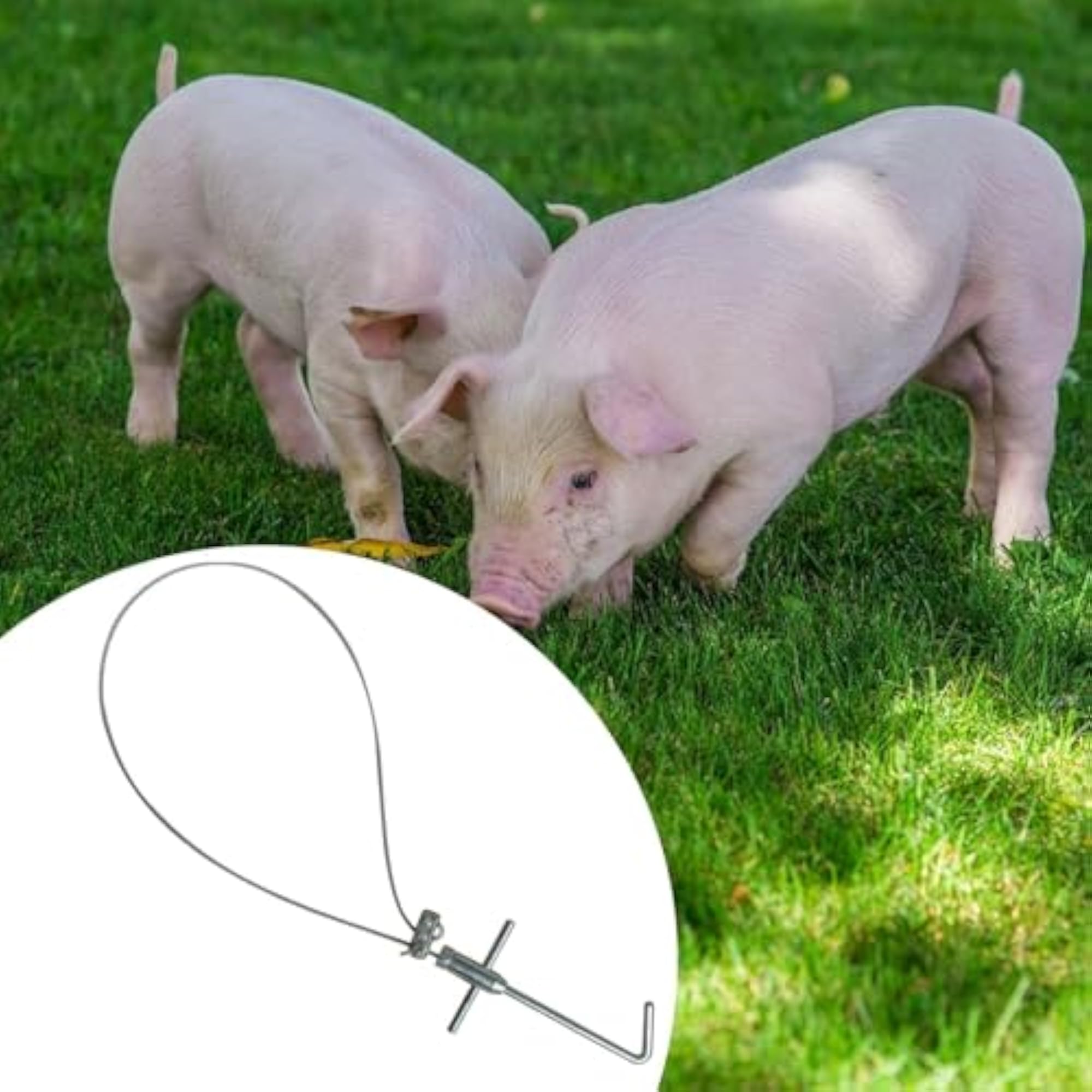 Adjustable Length Pig Holder Catcher Tool