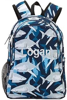 lillian vernon backpack