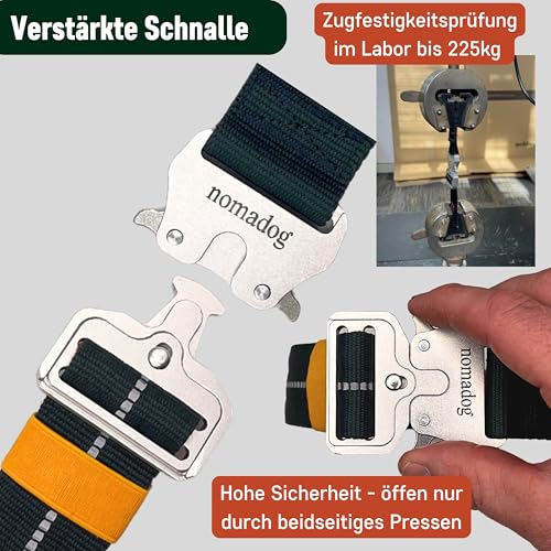Nomadog Trailblazer Hundehalsband mit Griff für Große Hunde - Premium Aluminium Schnalle, Strapazierfähiges taktisches Halsband, Verstellbar, Gepolstert, Reflektierend (XL)