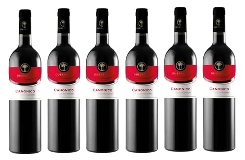 6x 0,75l - Cantine Due Palme - Canonico - Negroamaro - Salento I.G.P.- Apulien - Italien - Rotwein trocken