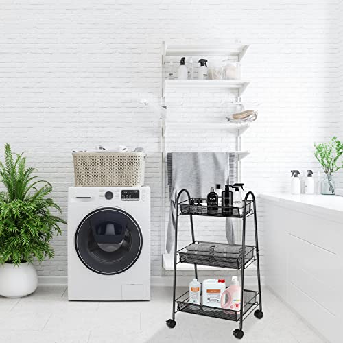 https://m.media-amazon.com/images/I/51OPAP2mT8L._SL500_.jpg