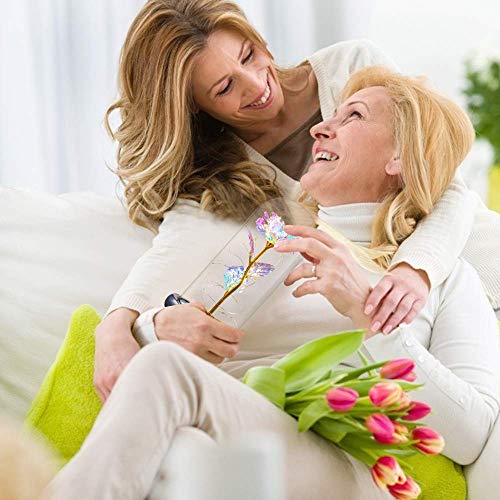 Quelien Birthday Gift For Women,Rose Flower Gifts For Her,Artificial Flower Lasts In A Glass Dome, Unique Gifts Is For Mothers Day,Christmas,Anniversary,Valentine's Day #TOP2