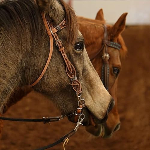 Back in the Saddle Again - Gymkhana Rodeo Returns