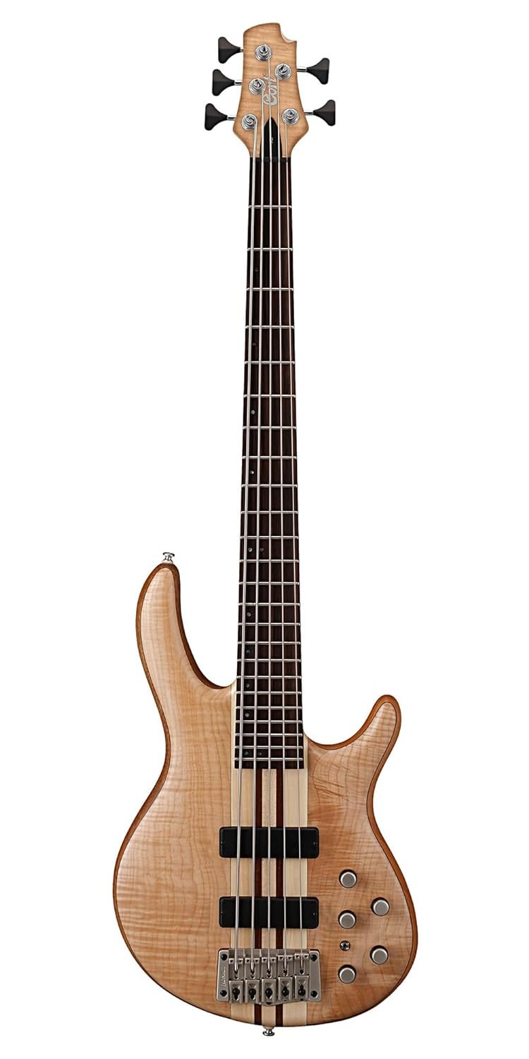 Cort B-001 – 0749 – 0 Professional Electric Bass 5 String