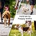 PETTOM Kurzführer Hund, Hundeleine Kurz Nylon, Kurze Leine Hund 32cm, Kurze Hundeleine für Große Mittelgroße und Kleine Hunde