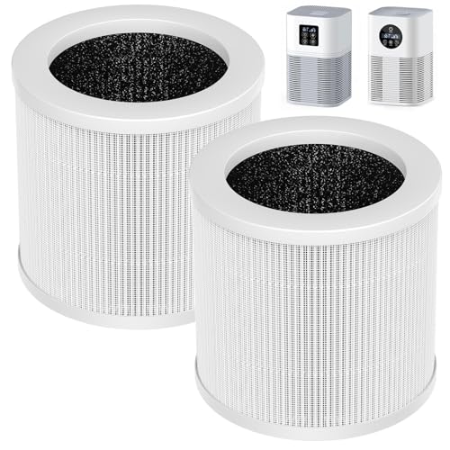 2 Pack A1 HEPA Filter