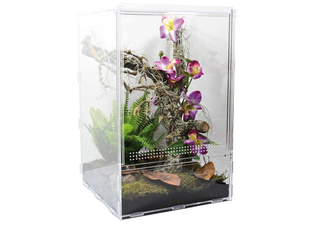 Lucky Reptile LifeTarrium, Größe:30 x 30 x 45 cm