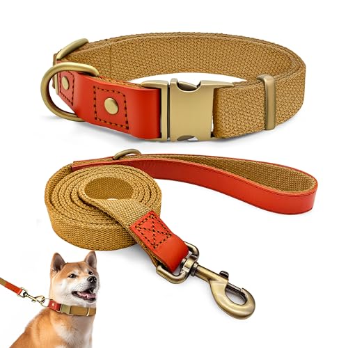 QRDA - Collare e Guinzaglio per Cani, Colore Cachi, Personalizzato, Cintura Tattica Regolabile per Cani di Piccola Taglia Media e Grandi