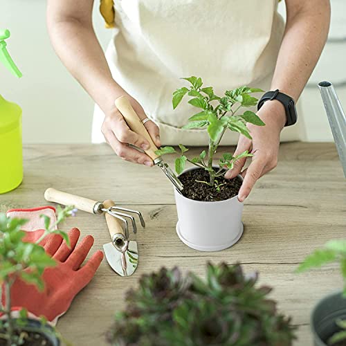 T4U 4 Inch Plant Pots 6-Pack - Small Plastic Planter With Drainage Hole And Saucer, Decorative Nursery Seeding Flower Pot White For Succulent, Cactus, Herb, Snake Plant And All House Plants #TOP1