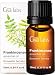Produktbild Ätherisches Öl Weihrauch - Ein göttliches Gefühl der Entspannung und des ruhigen Schlafs (10 ml) - 100% reines Weihrauch-Aromaöl therapeutischer Güte