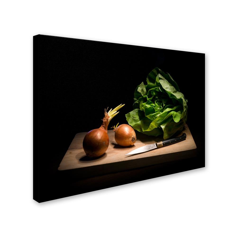 Amazon.com: Trademark Fine Art Modern & Contemporary Canvas