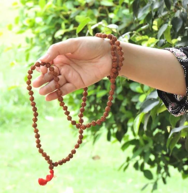 Amazon.co.jp: ルドラクシャとジェムストーンストア5 ムキルドラクシャ