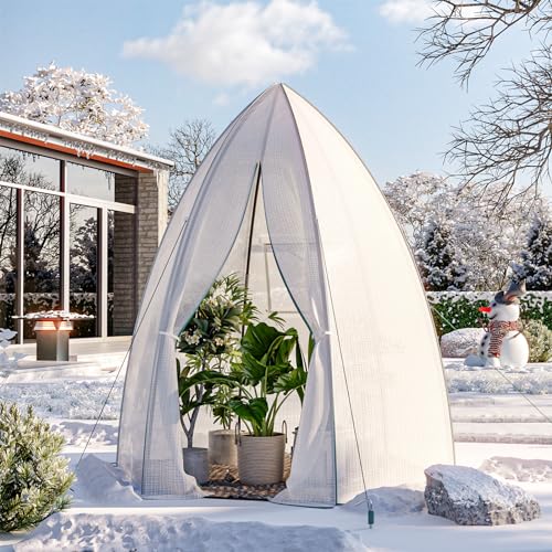 WELLGRO Mini Gewächshaus für 24 Pflanzen - ca. 27x19x10 cm (LxBxH) je Zimmergewächshaus, grün/transparent, Kunststoff/Zellulose - Menge wählbar, Stückzahl:2 Stück 3 WELLGRO Mini Gewächshaus für 24 Pflanzen - ca. 27x19x10 cm (LxBxH) je Zimmergewächshaus, grün/transparent, Kunststoff/Zellulose - Menge wählbar, Stückzahl:2 Stück – Bild 3