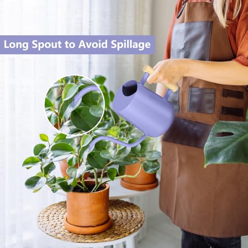 Image of Watering Can Indoor Plants, 35oz Small Stainless Steel Metal Watering Can Modern Decorative Watering Pot with Long Spout for Indoor House Plant Bonsai Garden Flowers (Purple)