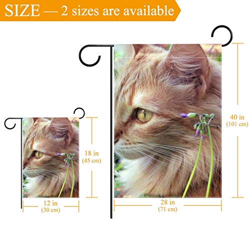 Drapeau de jardin chat mignon double face pour décoration extérieure de maison - 3