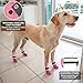 SCENEREAL Dog Socks to Prevent Licking Paws for Hardwood Floors Anti Slip, Dog Grippy Socks Shoes for Senior Small to Large Dogs, Dog Boots & Paw Protectors for Hot/Cold Scratching Pavement