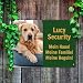 UV Hundeschild mit eigenem Foto & Namen „Security“ - 40 x 28 cm - Lustiges Vorsicht Hund Warnung Schild - wetterfest & rostfrei & UV-Schutz & Bohrlöcher - Warnschild Hund - Aluminium, Stärke 1,1 mm